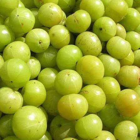 Amla