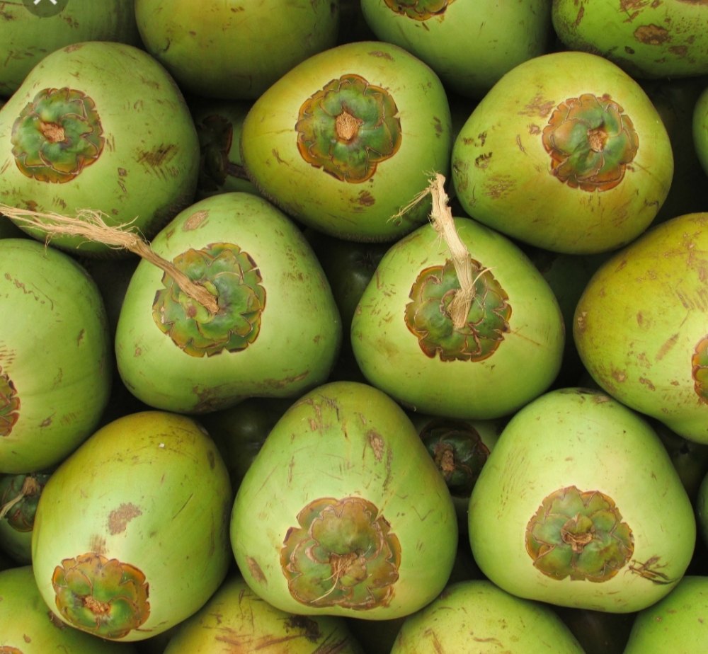 Tender Coconut