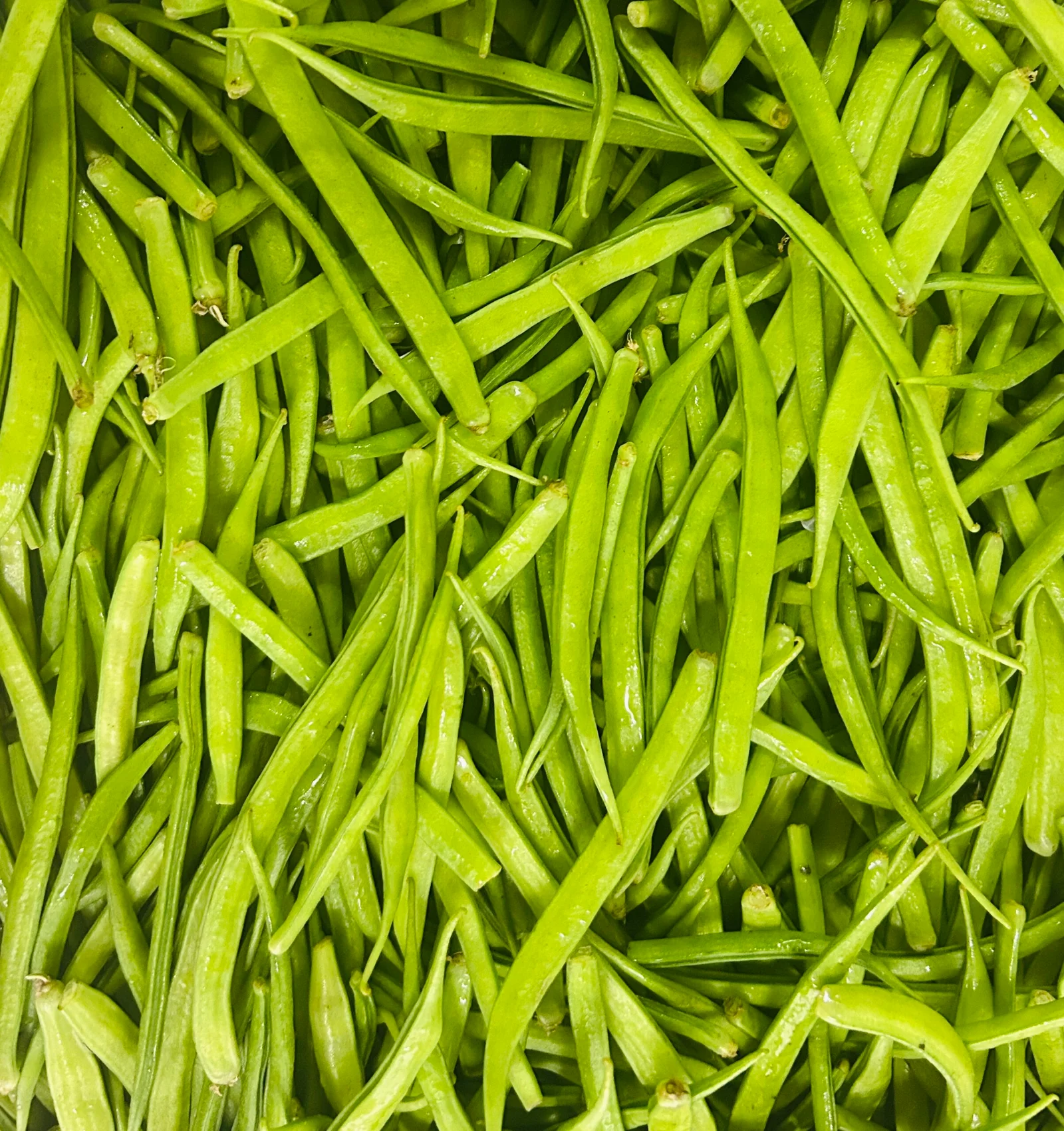 Cluster Beans