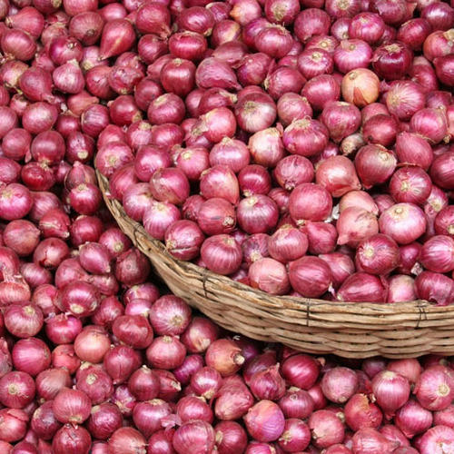 Small Onion