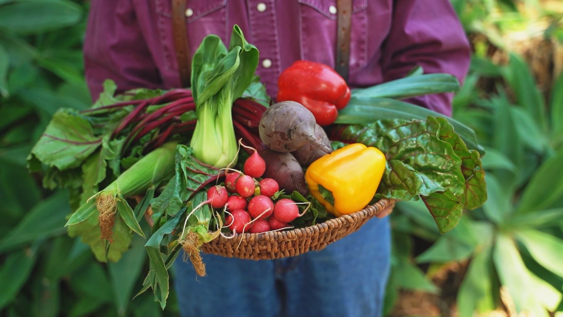 Fresh vegetables ready for harvest